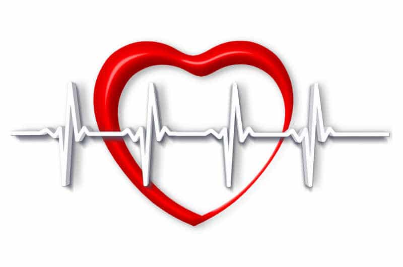 Health-system-Berlin-Greek-Berliners®